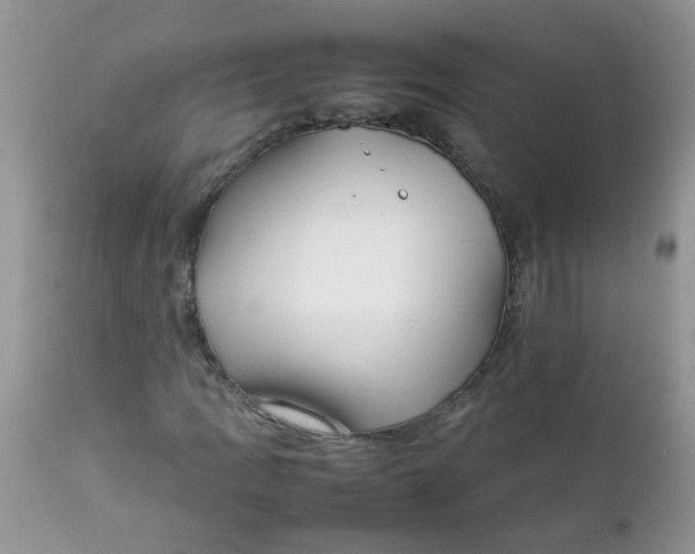 X0000111901109200908171232