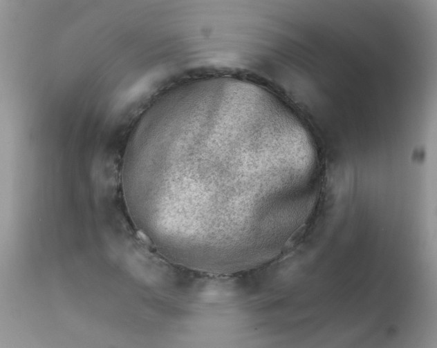 X0000111901110200908171232