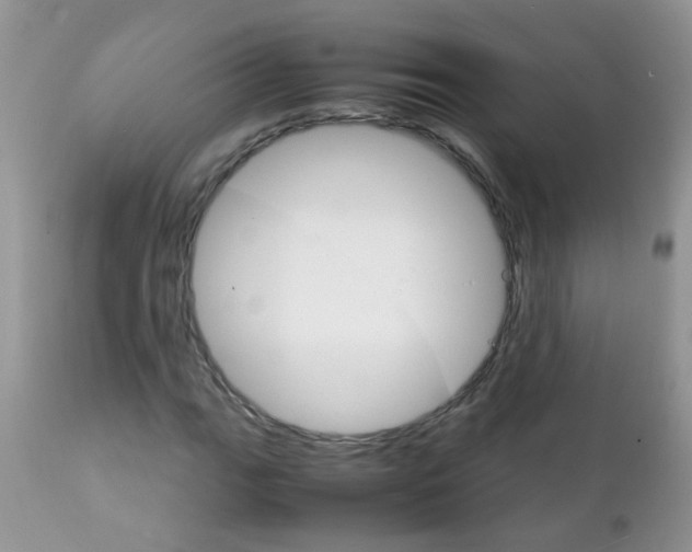 X0000111901111200908171232