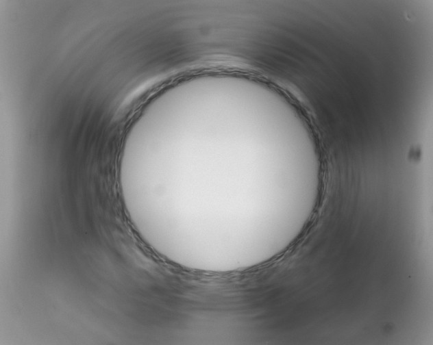 X0000111901112200908171232