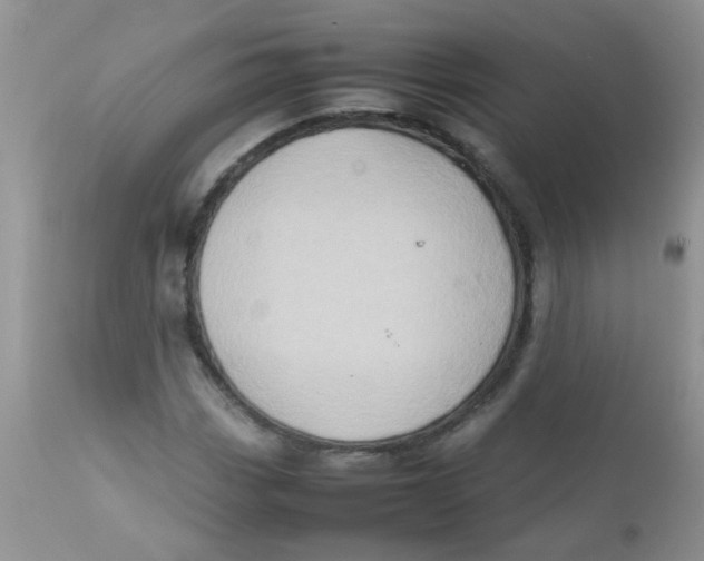 X0000111901113200908171232