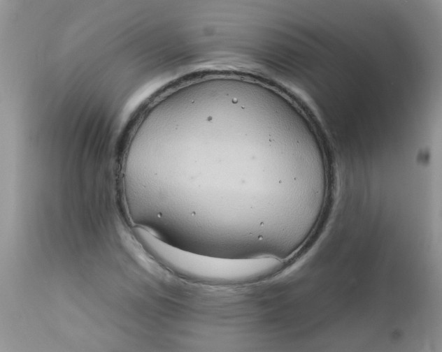 X0000111901114200908171232