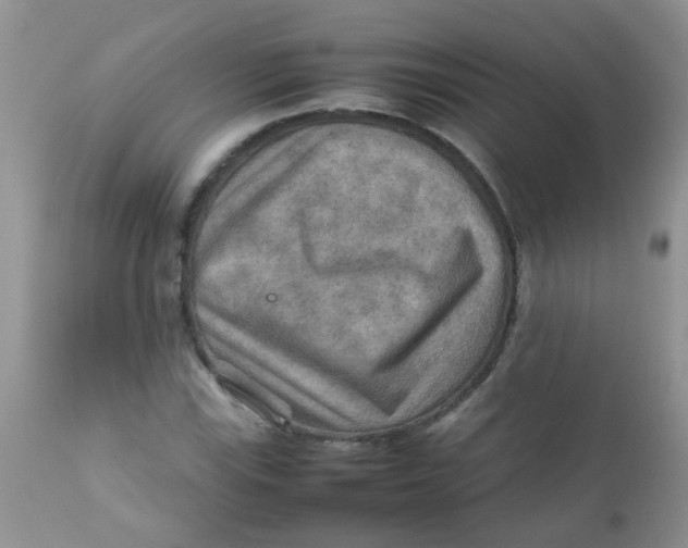 X0000111901115200908171232