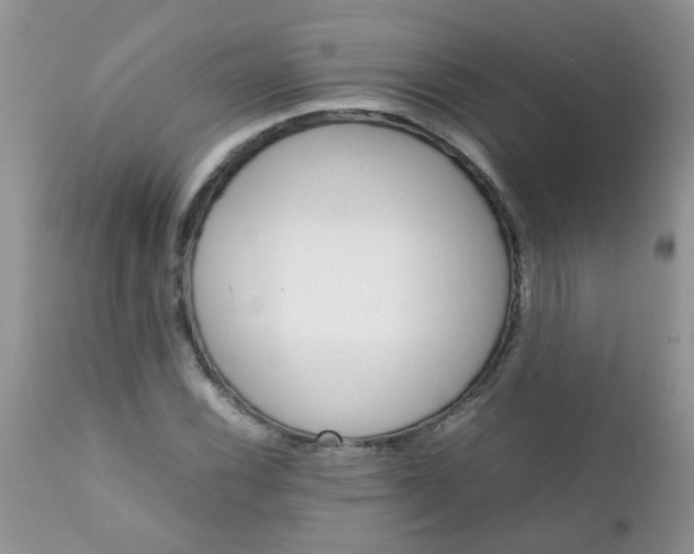 X0000111901116200908171232