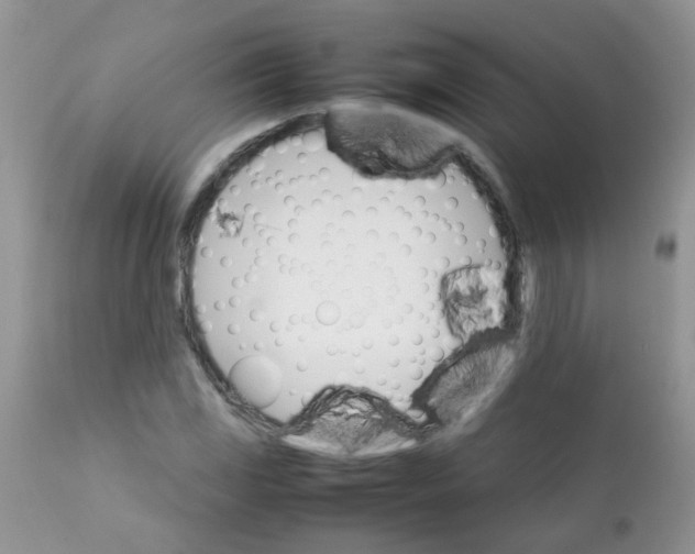 X0000111901117200908171232