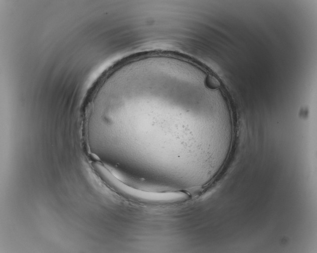 X0000111901118200908171232