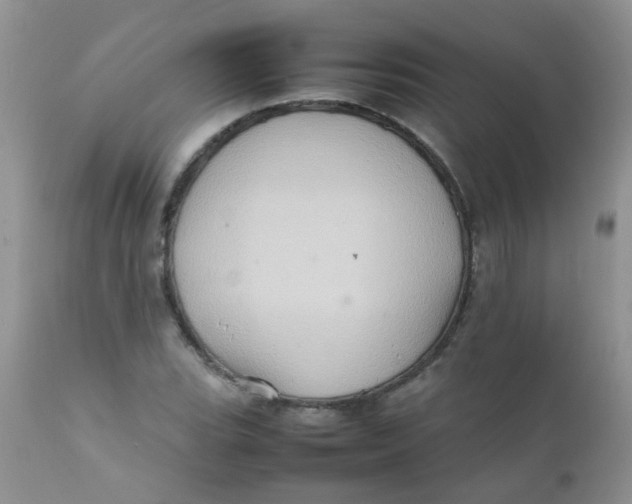 X0000111901119200908171232