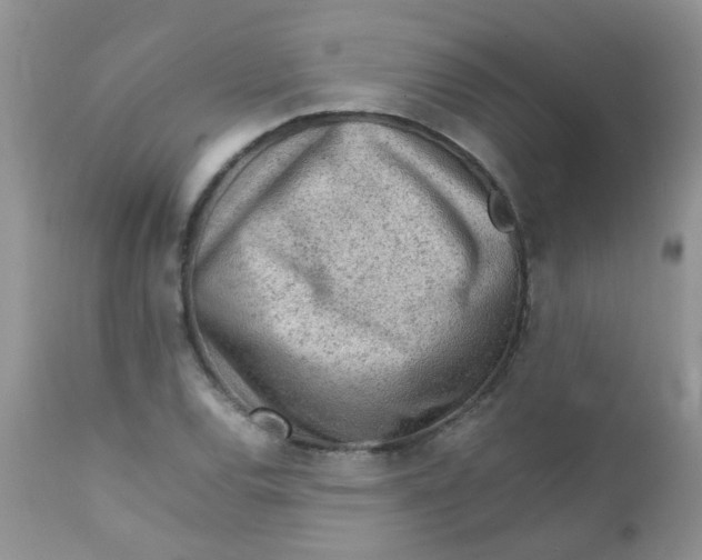 X0000111901120200908171232