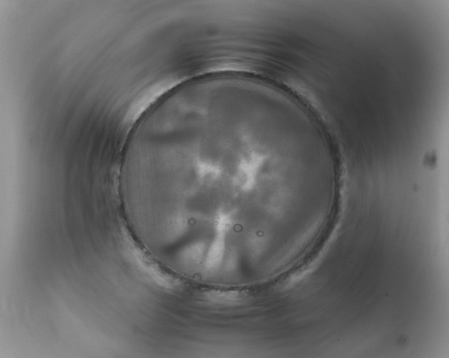 X0000111901121200908171232