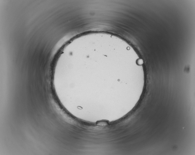 X0000111901122200908171232