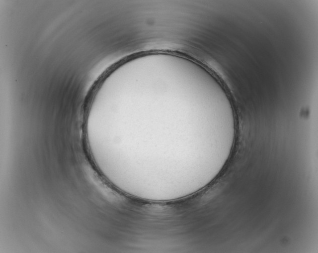 X0000111901124200908171232