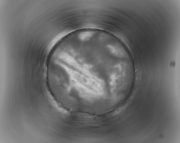 X0000111901125200908171232