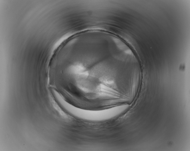 X0000111901127200908171232