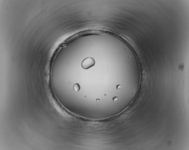 X0000111901128200908171232