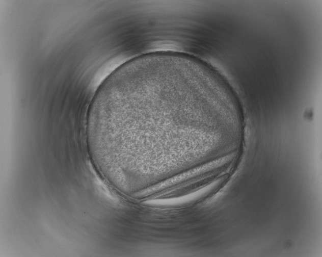 X0000111901129200908171232