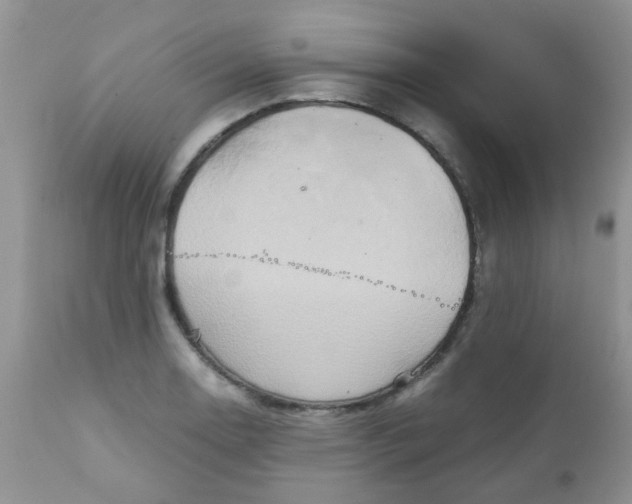 X0000111901130200908171232