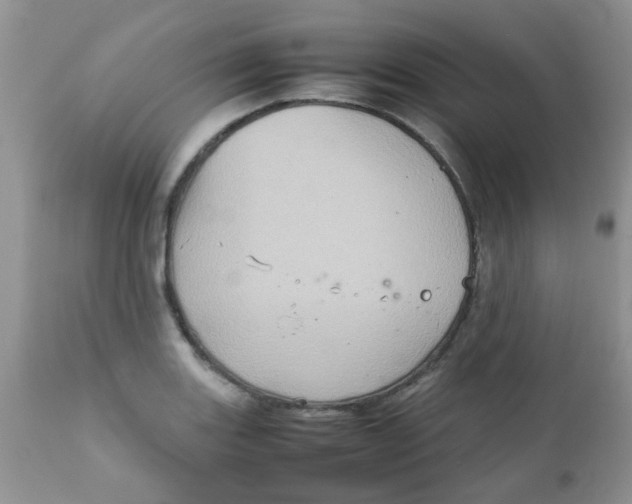 X0000111901131200908171232