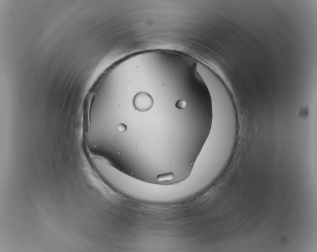 X0000111901132200908171232