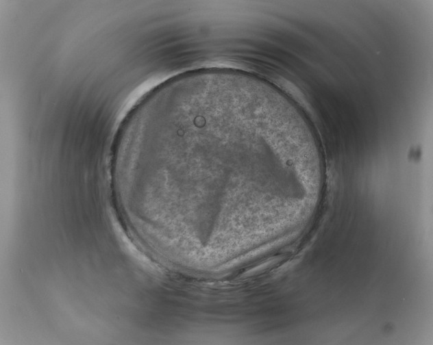 X0000111901133200908171232