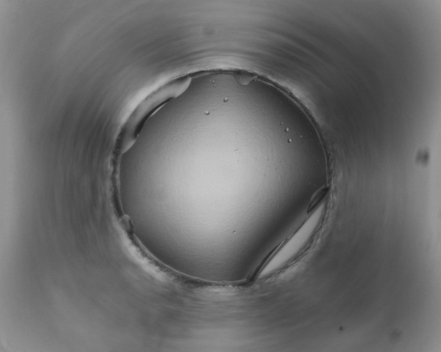 X0000111901134200908171232