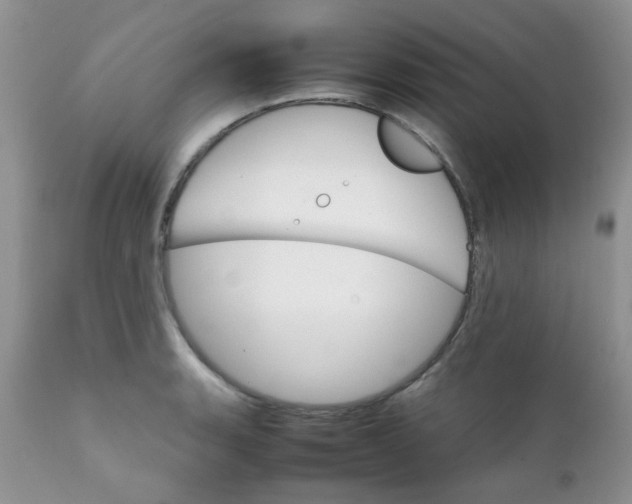 X0000111901135200908171232