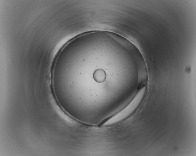 X0000111901136200908171232