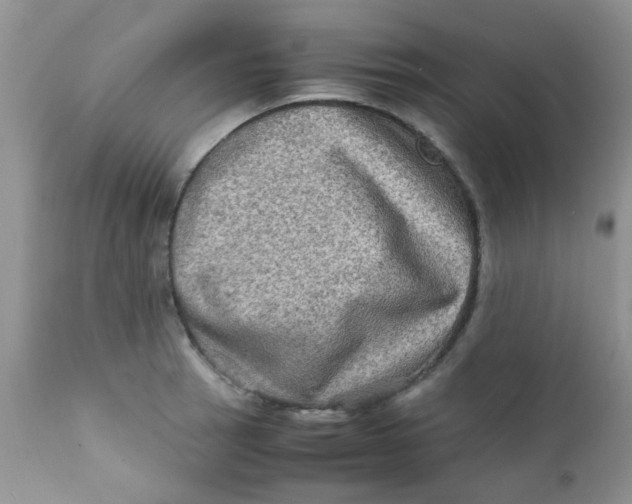 X0000111901137200908171232