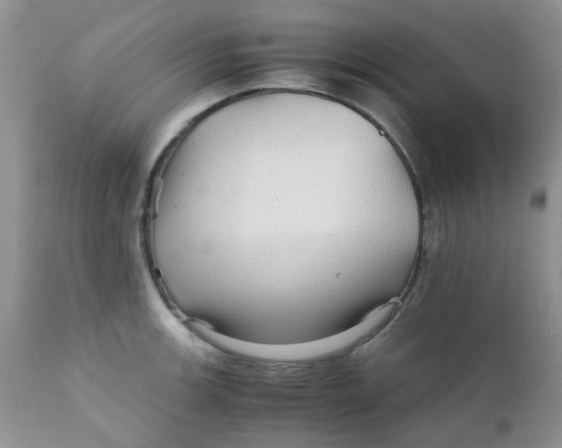 X0000111901139200908171232