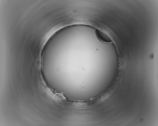 X0000111901140200908171232