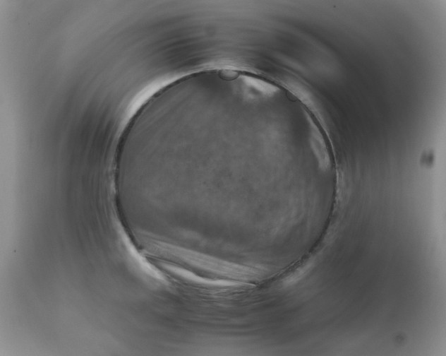 X0000111901141200908171232