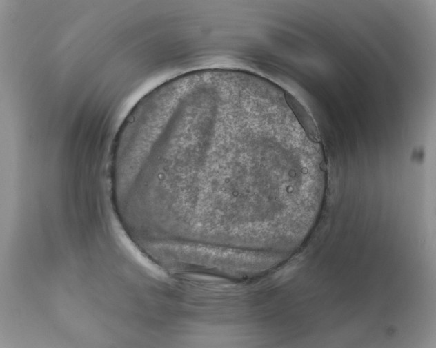 X0000111901142200908171232