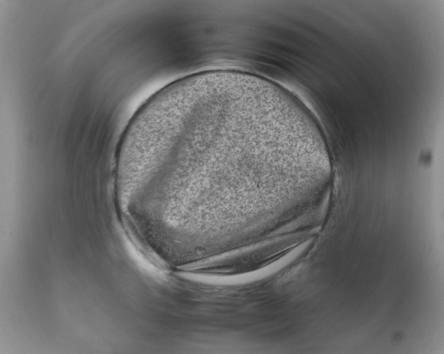 X0000111901143200908171232