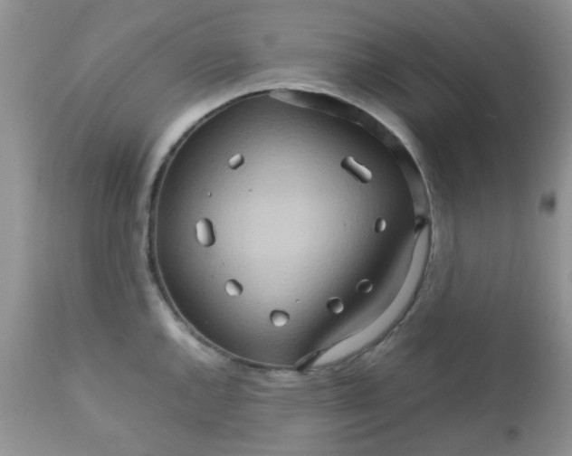 X0000111901144200908171232