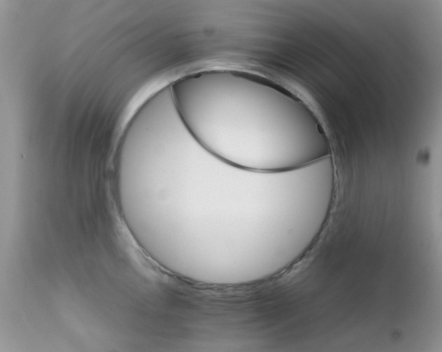 X0000111901146200908171232