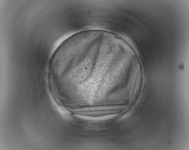 X0000111901149200908171232