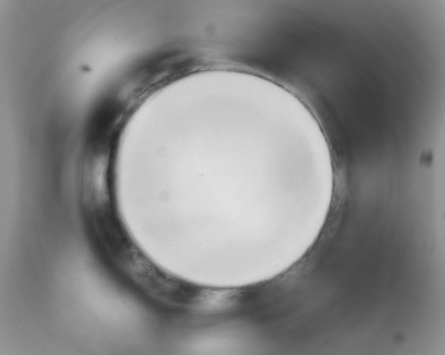 X0000111901150200908171232