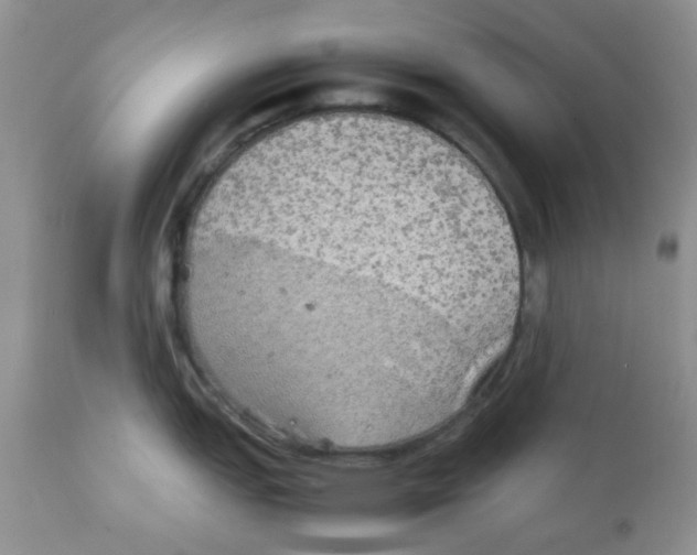 X0000111901151200908171232