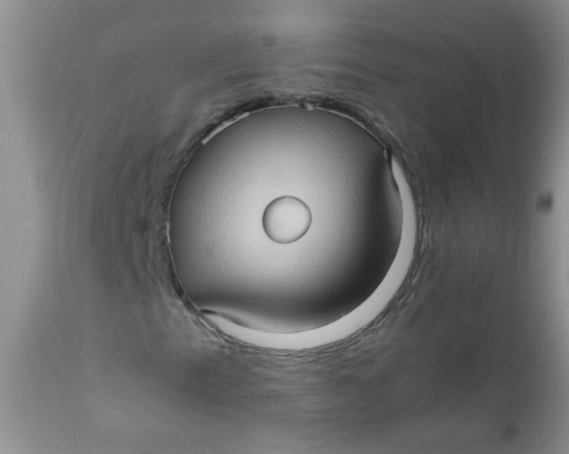 X0000111901153200908171232