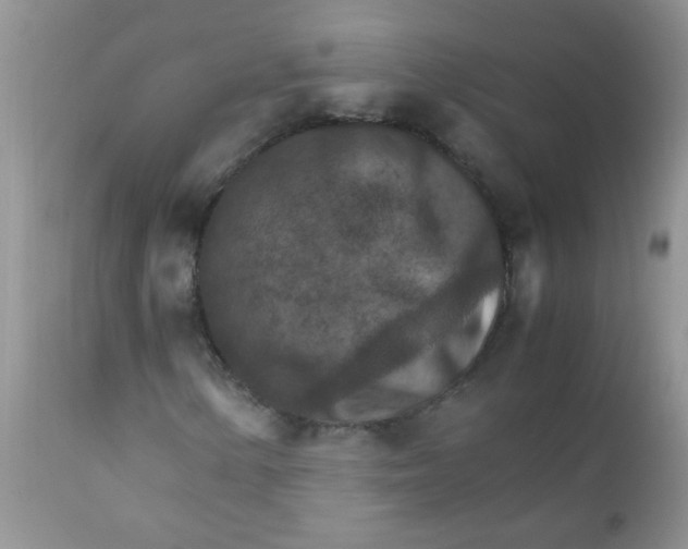 X0000111901154200908171232