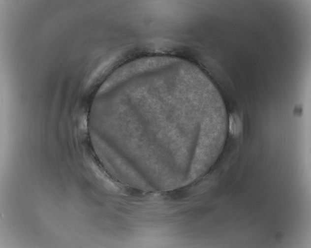 X0000111901155200908171232