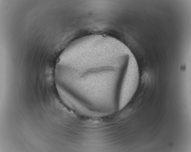 X0000111901156200908171232