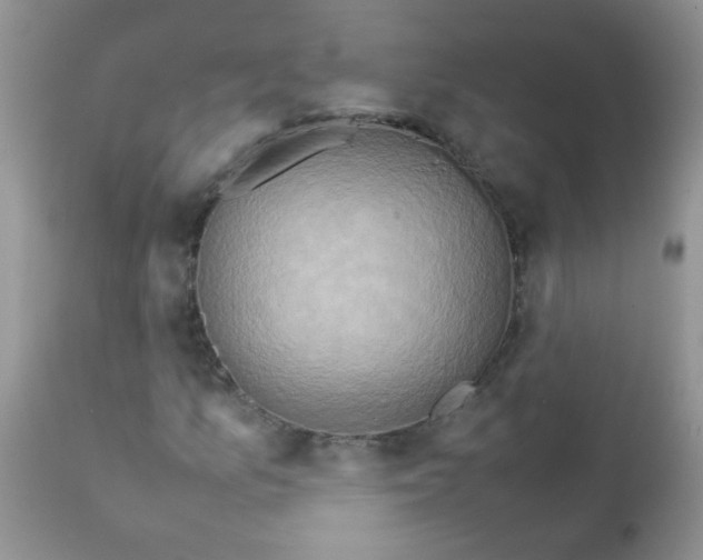 X0000111901157200908171232