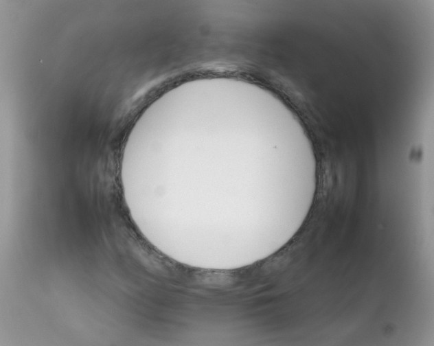 X0000111901158200908171232