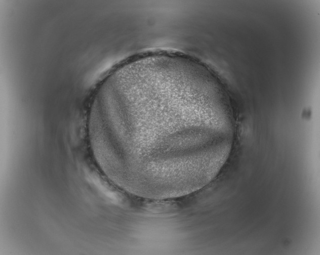 X0000111901159200908171232