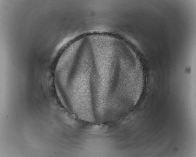 X0000111901160200908171232