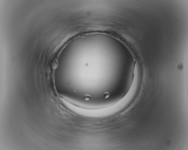 X0000111901161200908171232