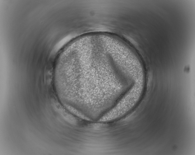 X0000111901163200908171232