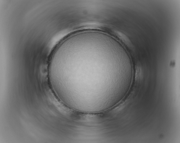 X0000111901164200908171232