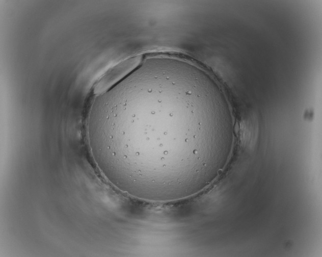 X0000111901165200908171232