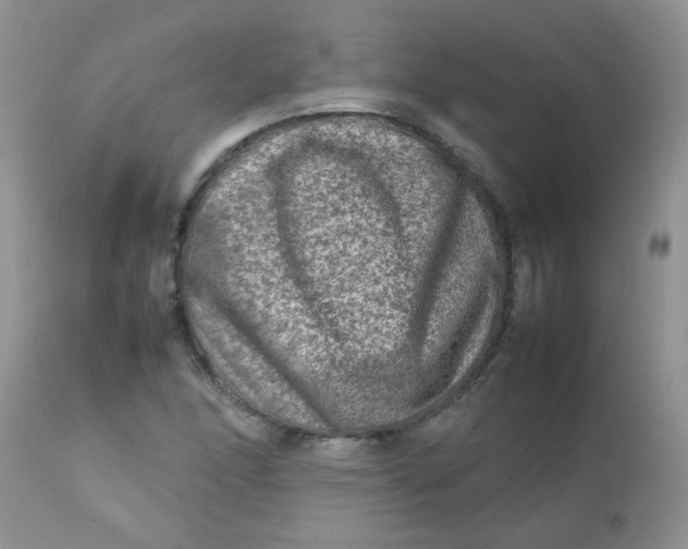 X0000111901166200908171232